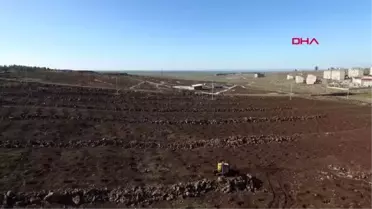 Şanlıurfa siverek'te 'kent ormanı' projesi