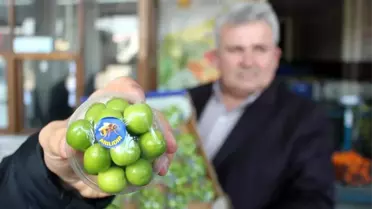 Turfanda erik cep yakıyor