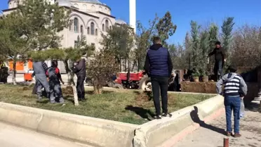 Yerköy'de ağaçlandırma çalışmaları devam ediyor