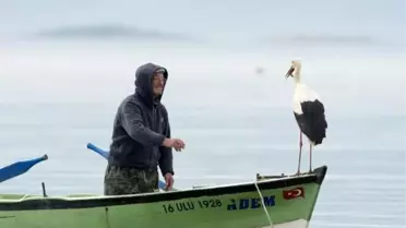 Adem Amca ile 'Yaren' leylek yeniden buluştu