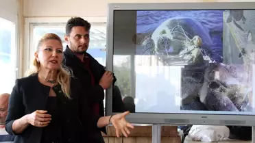 Erdemli'de balıkçılara deniz kaplumbağaları eğitimi