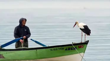 Eskikaraağaç'ın müdavimi leylek 'Yaren' göl manzaralı yuvasına yerleşti