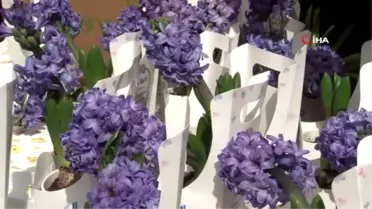 Bağcılar Belediyesi'nden Kadınlar Günü'nde 10 bin sümbül