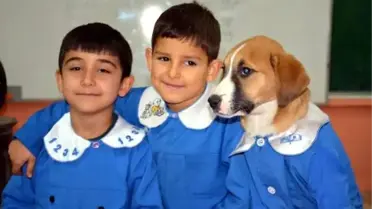 Klinikte tedavi gören Fındık, kurtarılamadı