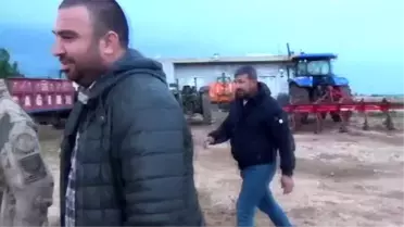 Viranşehir'de hayvan hırsızlığı