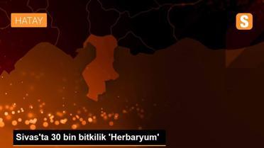 Sivas'ta 30 bin bitkilik 'Herbaryum'