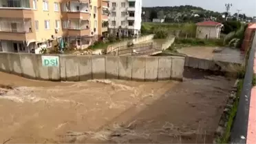 Taşan dere 2 bin dönümlük tarım arazisine zarar verdi