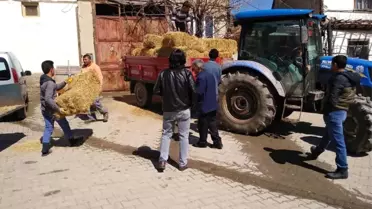 Ahırı yanan vatandaşa Çukurca halkından destek