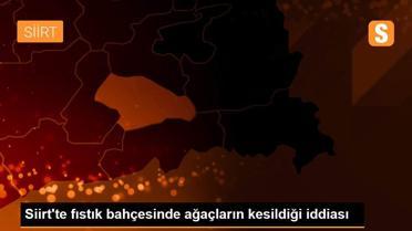 Siirt'te fıstık bahçesinde ağaçların kesildiği iddiası