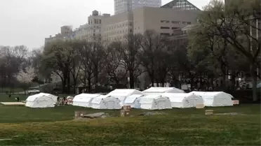 ABD'de koronavirüs: Central Park'ın göbeğinde sahra hastanesi inşa edildi