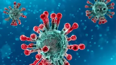 İngiltere'de korona virüs nedeniyle 5 Türk daha hayatını kaybetti