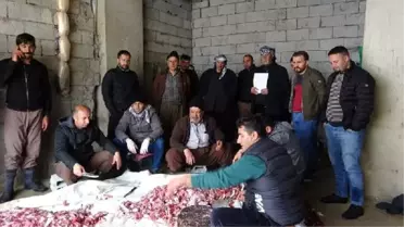 Şemdinli'de koronavirüsün bitmesi için 18 kurban kesildi