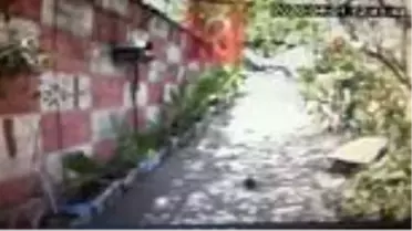 Otomobil bahçeye düştü, sürücüsü böyle kurtarıldı... Ev sahibi: 'Eve uçak düştü sandık'
