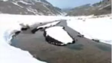 Yaylada doyumsuz kar manzarası, kuruyan palmiye tepesinde çiçek