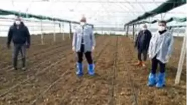 Tarım ve Orman İl Müdürü üreticileri tarlalara davet etti