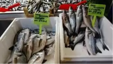 Vatandaş ucuz balık yesin diye fiyatları yarı yarıya düşürdü