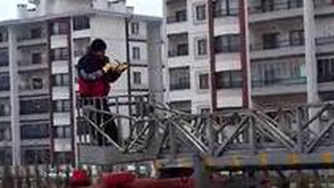 Çatıda mahsur kalan güvercini itfaiye kurtardı