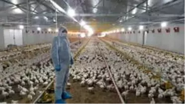Kocaeli'de korona virüs tarım ve hayvancılıkta üretimi etkilemedi