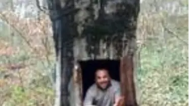 Koronavirüsten korunmak için ağaç kovuğuna girdi