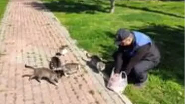 Polisler, sokakta yaşayan sahipsiz kedilere yiyecek bıraktı