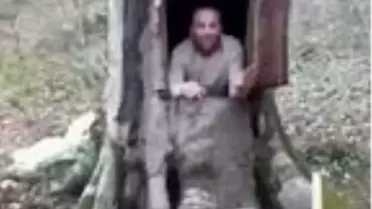Koronavirüsten korunmak için ağacı oymuştu, yasal işlem başlatıldı