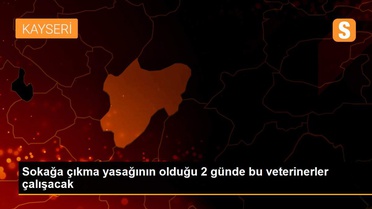 Sokağa çıkma yasağının olduğu 2 günde bu veterinerler çalışacak
