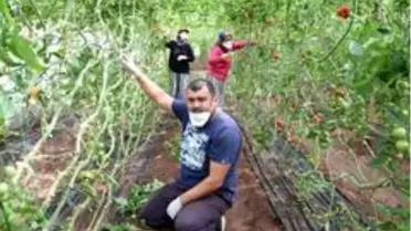 Sokağa çıkma yasağında kapsam dışı tutulan çiftçiler sabahın erken saatlerinde görevlerine başladı