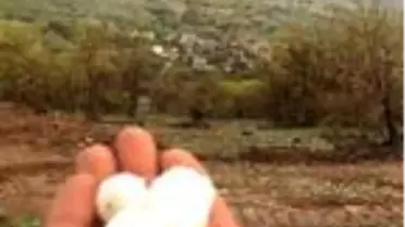 Gercüş'te dolu, meyve ağaçlarına zarar verdi