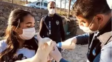 (Özel) Annesi ölen yavru keçi için zabıtadan biberon istediler