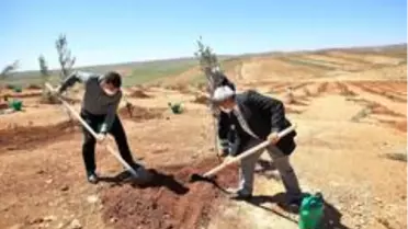 Şehitkamil'de 4 bin 100 fidan dikildi
