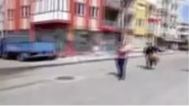 MANİSA Belediye işçilerine davullu zurnalı sürpriz