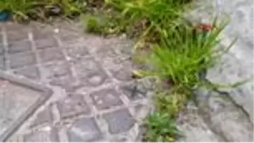 İzmit'te yerel gazetenin binası kurşunlandı