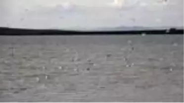 Muş Ovası, onlarca kuş türüne ev sahipliği yapıyor