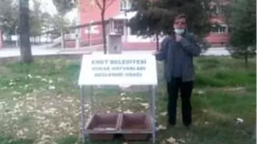 Sokak hayvanları için beslenme odakları yapılıyor