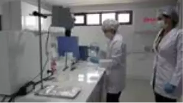ANTALYA Eller için prebiyotikli el kremi önerisi