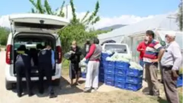 400 kilo sebzeyi yardıma muhtaç ailelere bağışladı