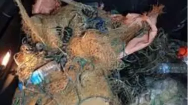 Çavuşçu Gölü'nde denetimler sürüyor