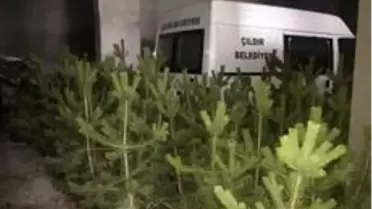 20 bin fidan Çıldır'a nefes olacak