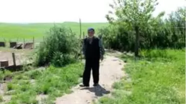 Diyarbakır'da filmleri aratmayan hikaye