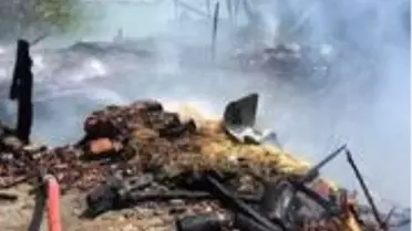 Ahır yangınından büyükbaş hayvanlar son anda kurtarıldı