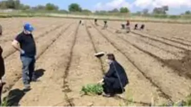 Çanakkale'de tarımsal üretim kesintisiz sürdürülüyor