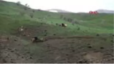 HAKKARİ Pancar toplamaya giden karı koca devrilen traktörün altında kalarak yaralandı