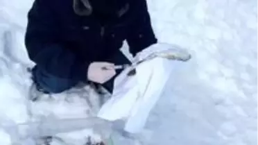 Faydaları saymakla bitmeyen balık yemlerinde kullanılacak