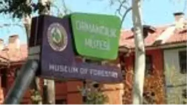 Ormancılık müzesine ev sahipliği yapan tarihi köşk restore edilecek