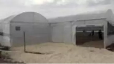 Sokağa çıkma kısıtlamasından muaf tutulan çiftçiler üretime devam ediyor