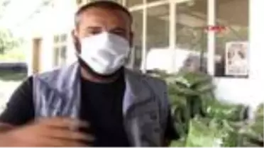 MERSİN Erik üreticilerine boylama makinesi verildi