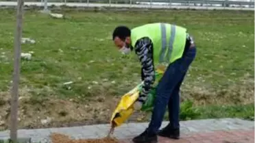 Sokağa çıkma kısıtlamasının üçüncü gününde de Havza sakin