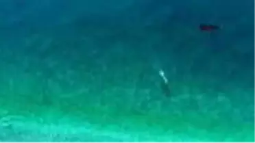 ANTALYA Patara ve Çıralı, Avrupa'nın en temiz plajları arasında