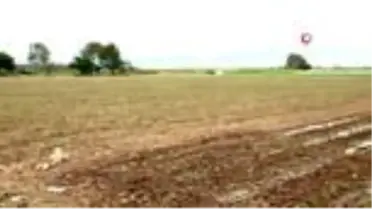 Çiftçiler Cumhurbaşkanı Erdoğan için üretecek