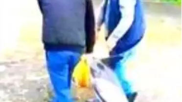 Kıyıya vuran yunusu, minibüsçüler denize taşıdı